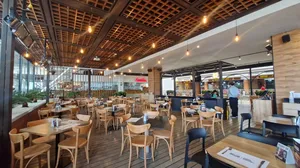 WhatsApp_Image_2025-07-02_at_111823_AM_1_300.webp